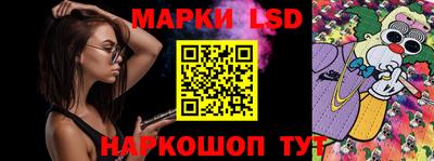 шишки Будённовск