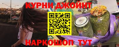 шишки Будённовск