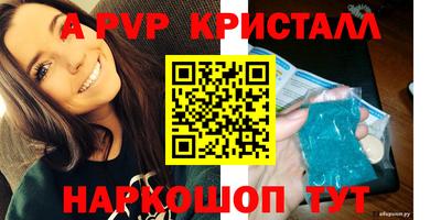 шишки Будённовск