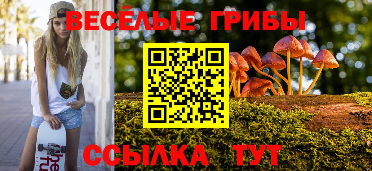 магазин    Вход с VPN  Реутов  Псилоцибиновые грибы GOLDEN TEACHER 